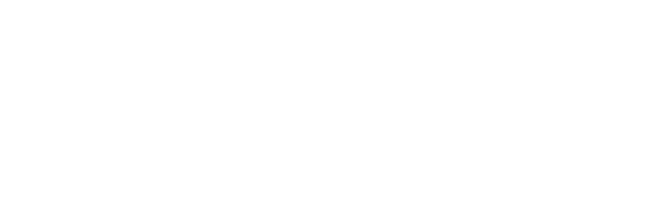 Snap Raise lockup white